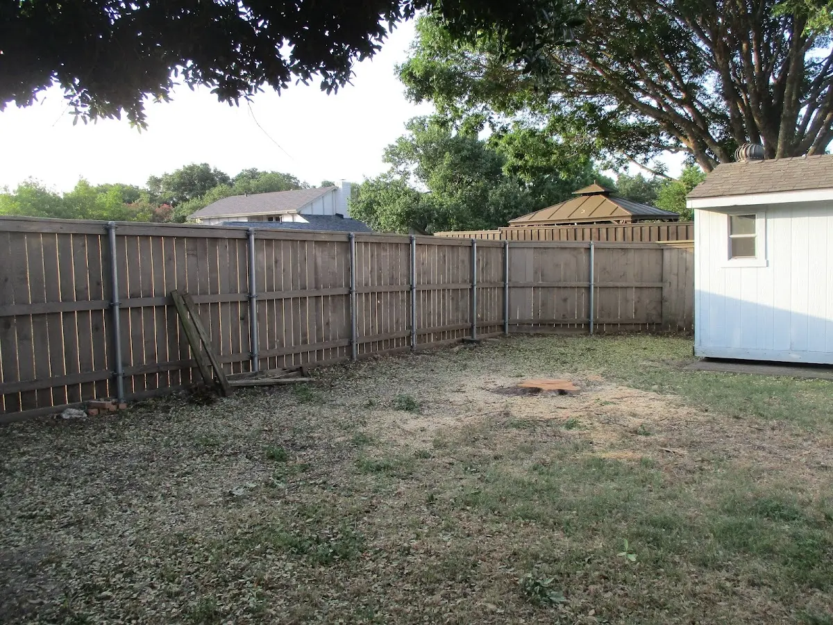 Cleared yard after professional tree removal in Vale