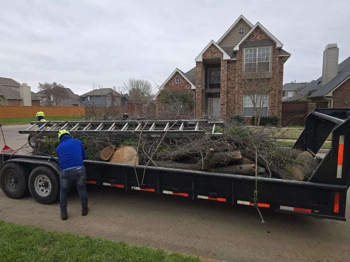 Expert Lot Clearing with proper safety equipment in Vale